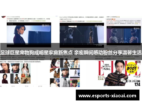 足球巨星宠物狗成明星家庭新焦点 亲密瞬间感动粉丝分享温馨生活