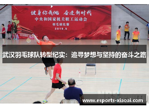 武汉羽毛球队转型纪实：追寻梦想与坚持的奋斗之路