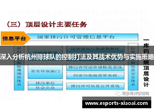 深入分析杭州排球队的控制打法及其战术优势与实施策略