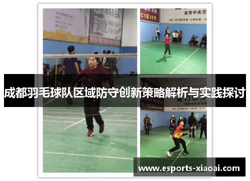 成都羽毛球队区域防守创新策略解析与实践探讨