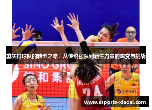 重庆排球队的转型之路：从传统强队到新生力量的蜕变与挑战