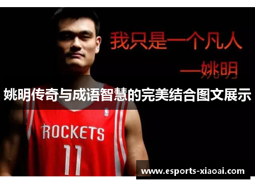 姚明传奇与成语智慧的完美结合图文展示