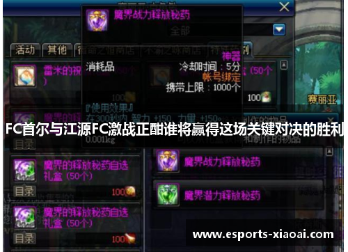 FC首尔与江源FC激战正酣谁将赢得这场关键对决的胜利